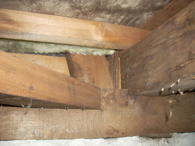DSCN8457