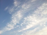 4286a10d.jpg