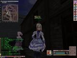 かわいいよしらすくぁいいよ
