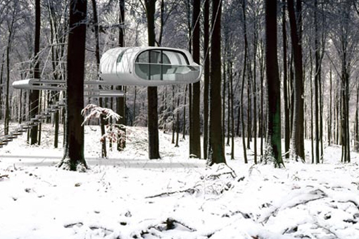 TREE-6