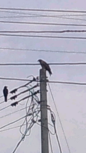 CA3H127500010001