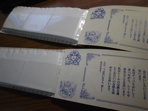 CIMG1667