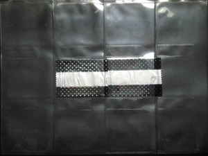 CIMG2303