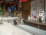 犬のみポーズ