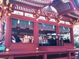 式