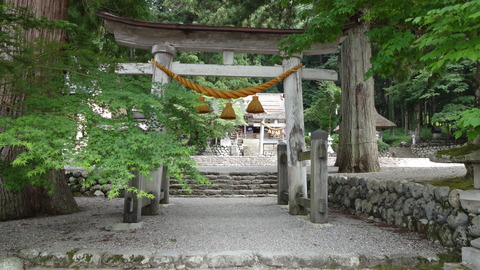 DSC00604