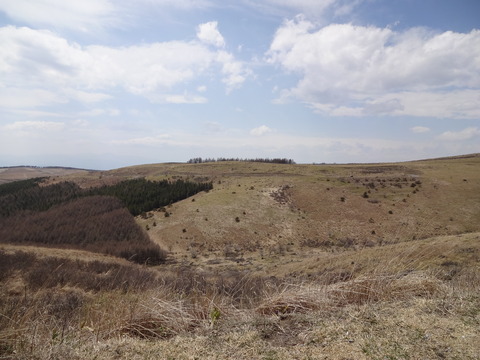 DSC00412
