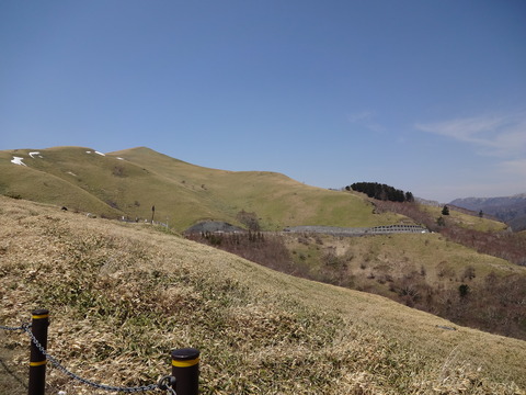 DSC00393
