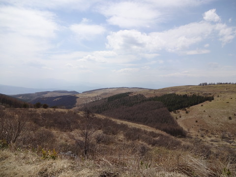 DSC00411
