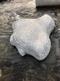 飛び石ちどり