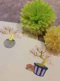 BONSAI桜