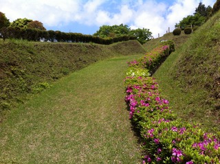 IMG_4850