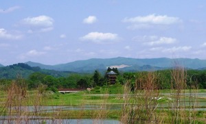 20110524平泉付近
