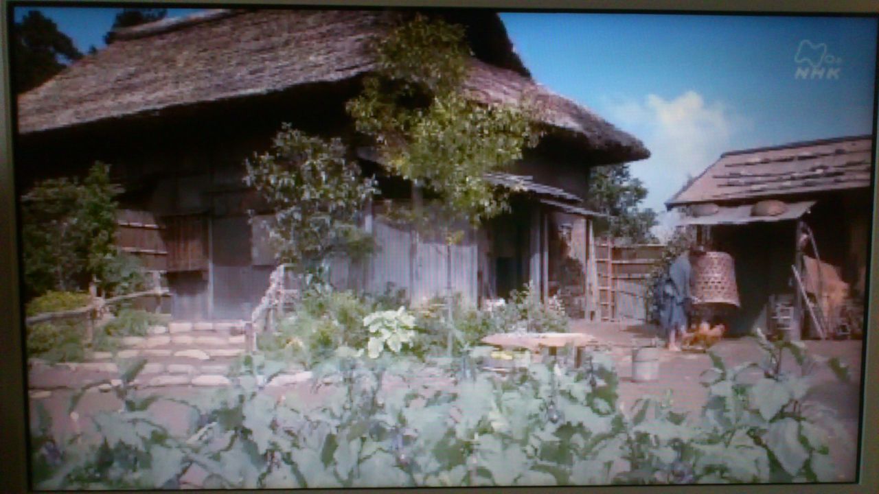 遅まきながら 藤沢周平の代表作 蝉しぐれ のドラマを鑑賞した 生成的な行程