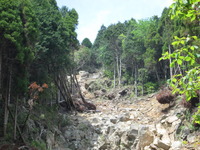 山崩れ現場