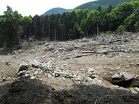 土石流現場2