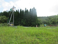 電線張り