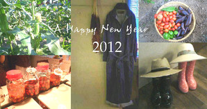2012_newyear