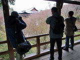 2008012001