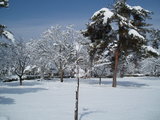 08f174c5.JPG