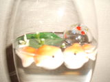 金魚