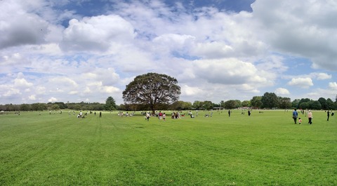 CIMG5029_stitch_R