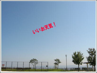 いいお天気です