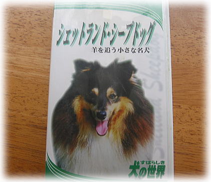 ビデオ