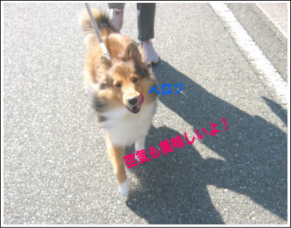 ペロ〜ン
