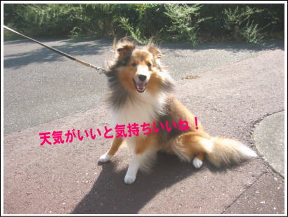 お天気は気持ちいね〜