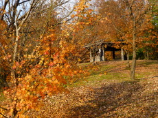 P1030691