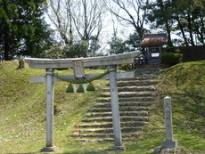 P1030354