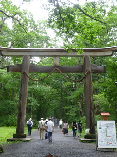 P1030582