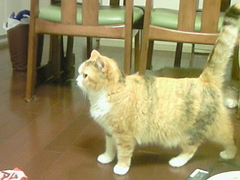 201007042014000