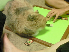201007042000001