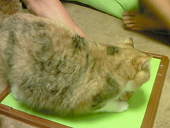 201007042000000