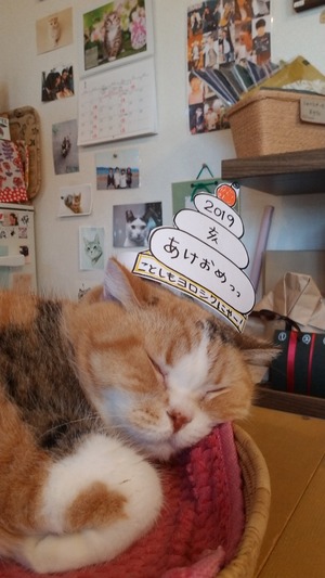20190103_154239