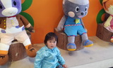 41550e88.jpg
