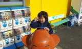 51666486.jpg