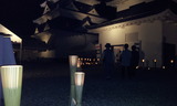 c3938294.jpg