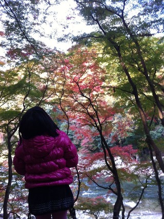 写真 11-11-23 8 29 45
