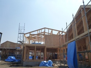 P1240849