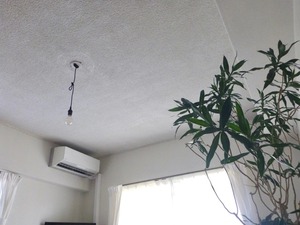 P1260405