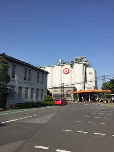 IMG_9813