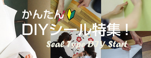 sealdiy-bnr-01