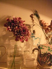 2011_0221hicorazon0011a