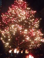 e6747a78.jpg