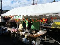 IMG_2746