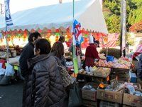 IMG_2754
