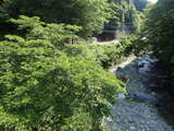 P6170011